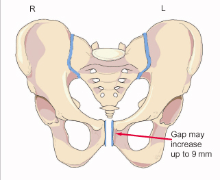 Pelvic Pain, Dysfunction and Chiropractic treatment